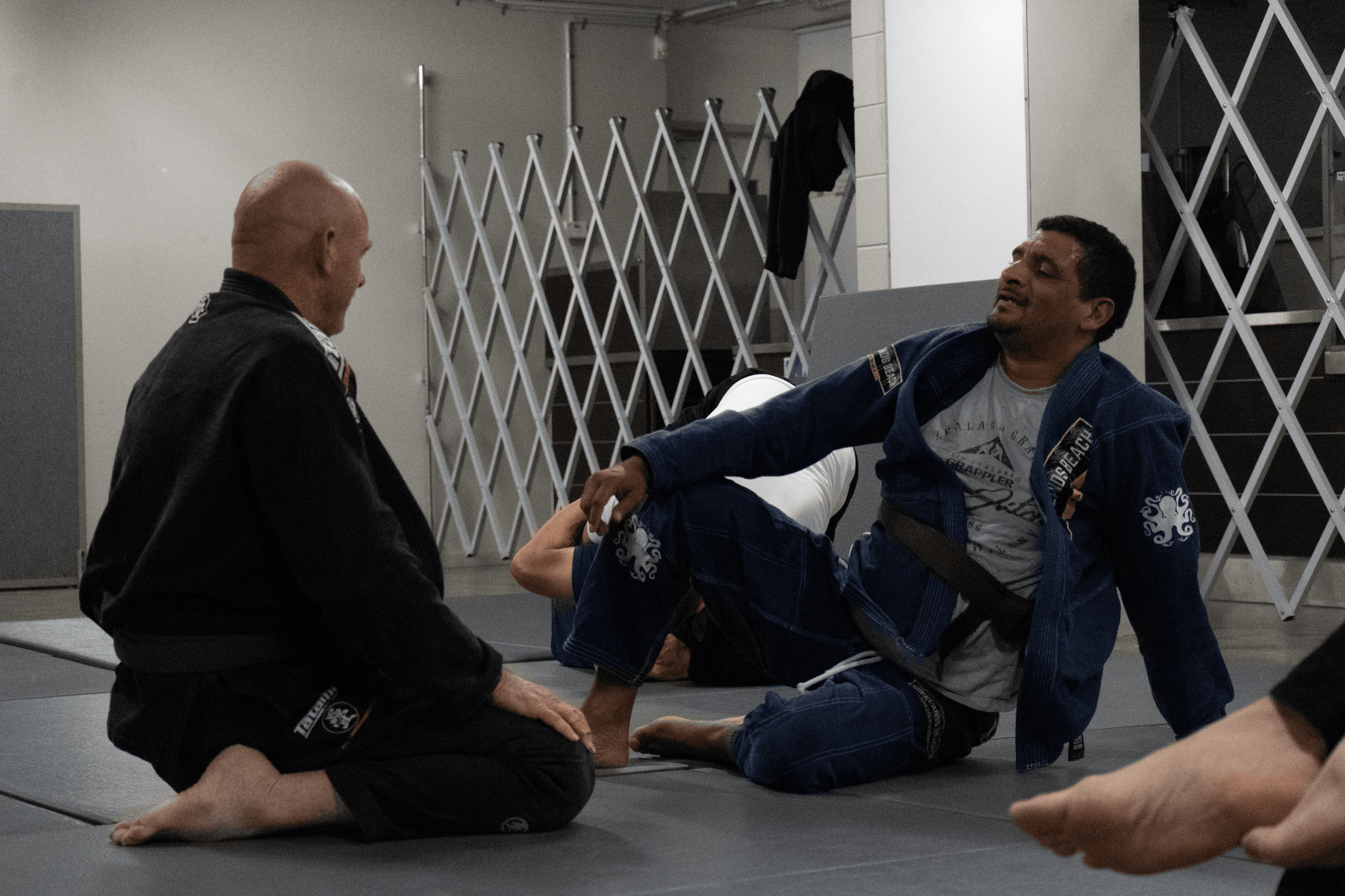Adult BJJ